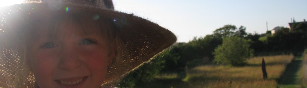 John Bell vs Climate Change (currently 15,148-155 to Climate Change)