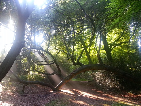 Walk back from the shops