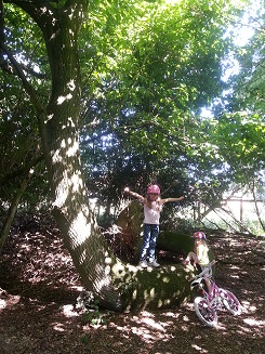 Out and about - with the Snake Tree